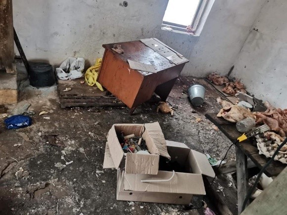 На Сумщині окупанти розграбували птахофабрику і розбомбили хлібзавод фото, ілюстрація