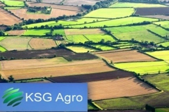 Агробізнес буде продовжувати працювати в умовах зовнішньої агресії, - власник агрохолдингу KSG фото, ілюстрація