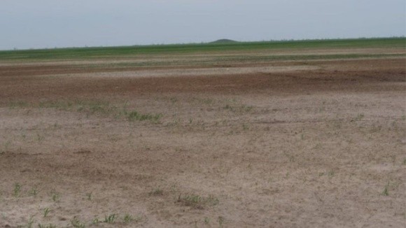  Як херсонські родючі ґрунти перетворюються на пустелю фото, ілюстрація