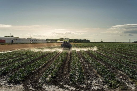 Регулювання пестицидів та агрохімікатів приведено у відповідність до законодавства ЄС фото, ілюстрація