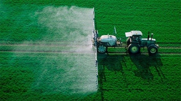 Уряд затвердив новий сучасний порядок ведення реєстру пестицидів  фото, ілюстрація
