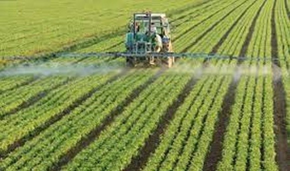 Європейські норми реєстрації пестицидів та агрохімікатів загрожують збитками українським аграріям, – експерт фото, ілюстрація