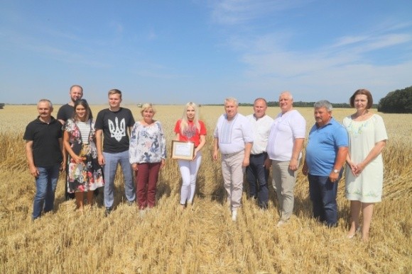 В Україні зафіксовано новий рекорд урожайності пшениці фото, ілюстрація