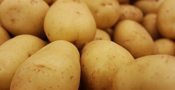 Рекордні ціни на картоплю врятують галузь фото, ілюстрація