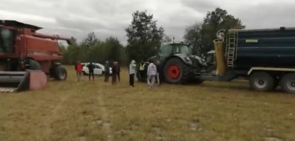 Соняшник і «тітушки»: на Житомирщині молодики намагались зібрати чужий урожай фото, ілюстрація