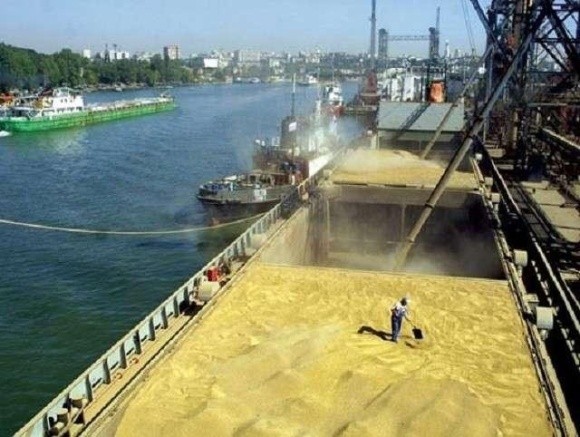 За 8 місяців 2021 року р. Дніпро перевезено 1,59 млн тонн зернових фото, ілюстрація