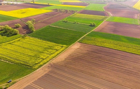 Український ринок землі лякає європейських фермерів, – Денис Марчук фото, ілюстрація