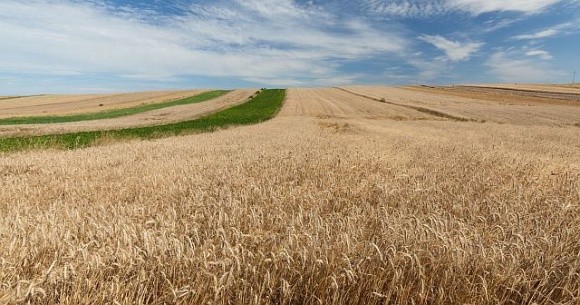 Ринок землі та вступ до ЄС: досвід сусідів і висновки фото, ілюстрація