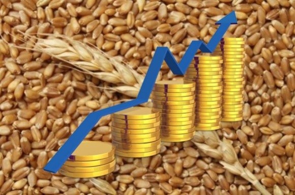Пролонгація зернової угоди вплинула на ринок зерна фото, ілюстрація