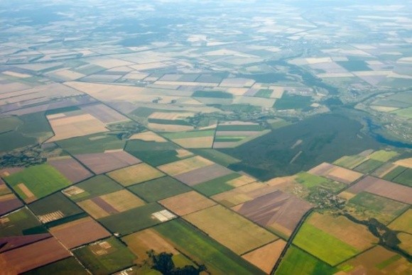 Восени в Україні почнеться масовий розпродаж землі: ціни знизяться  фото, ілюстрація