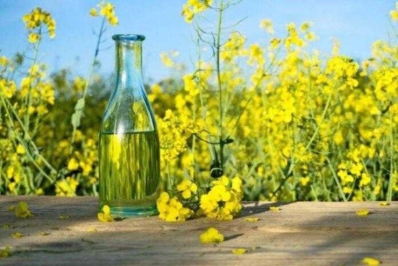 Китай купив 60 тис. тонн української ріпакової олії фото, ілюстрація