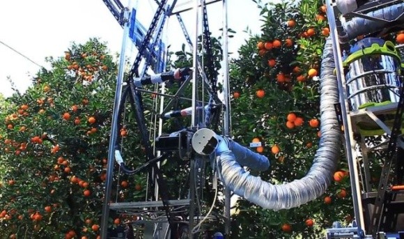 Робот збиратиме комерційний урожай яблук фото, ілюстрація