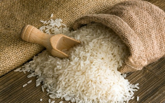 Выращивание риса на Херсонщине растет, а в Крыму может исчезнуть фото, иллюстрация