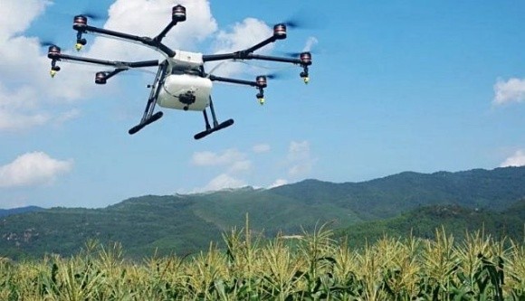 Рис в Індії будуть висівати дронами фото, ілюстрація