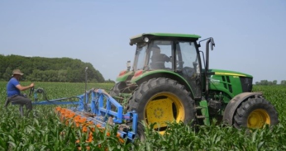 На Рівненщині підприємство вирощує продукцію «без пестицидів» фото, ілюстрація