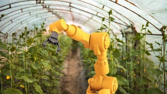 В Австралії відкриють ферму, керовану ШІ і роботами фото, ілюстрація