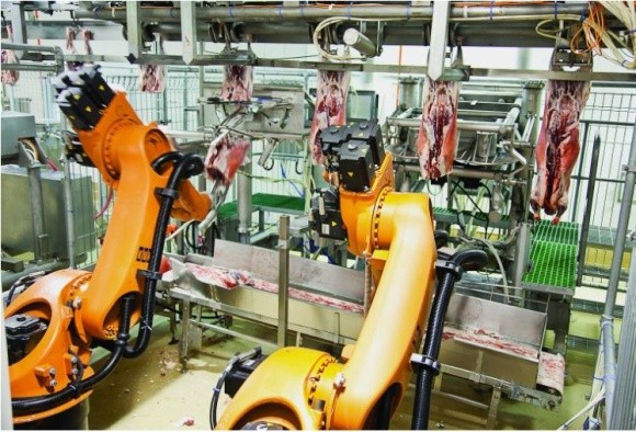 Робот с искусственным интелектом будет обрабатывать мясные туши фото, иллюстрация