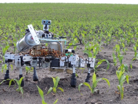 Роботів навчили садити насіння і знаходити хворі рослини фото, ілюстрація