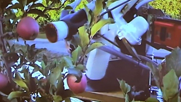 Створений робот для збирання яблук (Відео) фото, ілюстрація