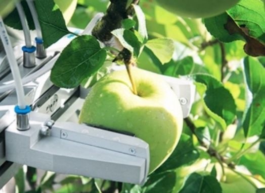 У Білорусі почнуть випускати роботів для збирання яблук фото, ілюстрація