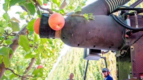 Безіменний робот здатний збирати одне яблуко в секунду фото, ілюстрація