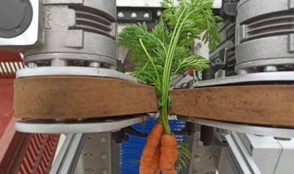 У Франції розробляють овочеві роботизовані ферми фото, ілюстрація
