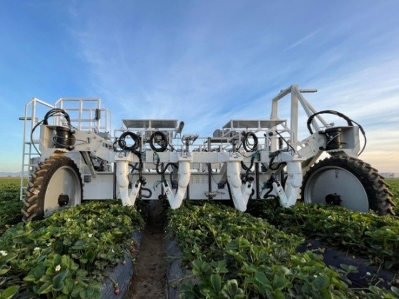 Американський виробник полуниці випустив на поля робота-збирача ягоди фото, ілюстрація