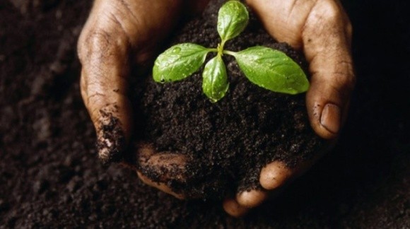 В Мінагро розробили правила забезпечення родючості ґрунтів і застосування агрохімікатів фото, ілюстрація