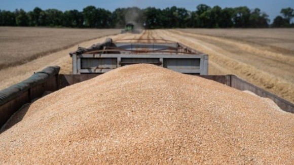 Росіяни активно вивозять зерно із тимчасово окупованих районів Запорізької області фото, ілюстрація