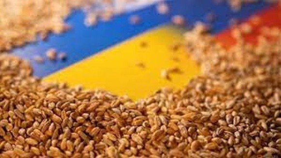 Україна закликає Велику Британію та Францію долучитися до розблокування експорту зерна через порти Великої Одеси фото, ілюстрація