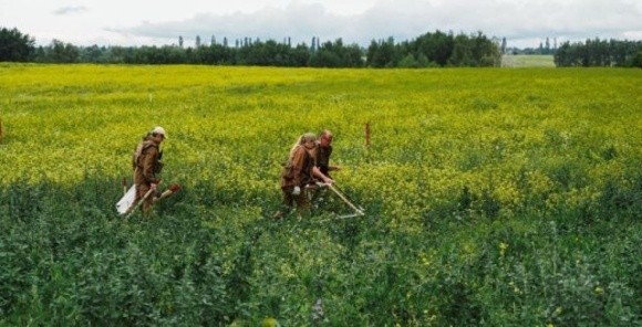 Розміновувати поля буде кому – в Україні збільшиться кількість операторів протимінної діяльності фото, ілюстрація