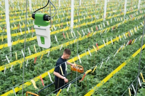 Розробник з Нідерландів створив систему позиціонування для «розумного» садівництва  фото, ілюстрація