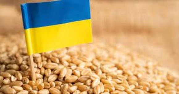 Румунія готова допомогти з транзитом українського продовольства фото, ілюстрація