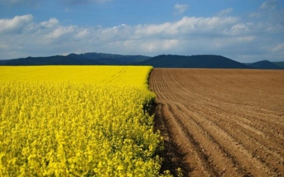 Чи загрожує Україні доля ринку землі в Аргентині? фото, ілюстрація