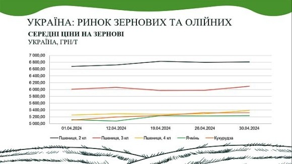 У квітні на ринку пшениці, кукурудзи та олійних культур спостерігалось підвищення вартості, – аналітики фото, ілюстрація