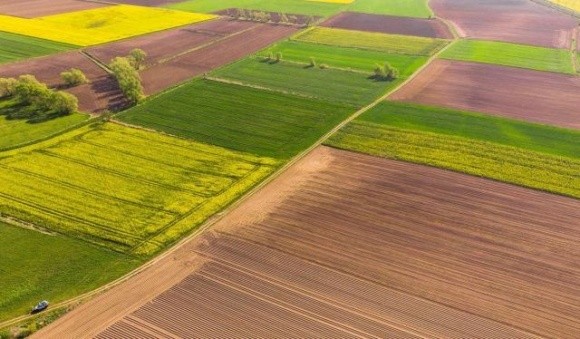 Запуск ринку землі для юридичних осіб під час воєнного стану шкодить національним інтересам України, – ВАР фото, ілюстрація