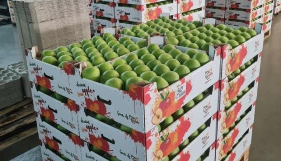 «Сади Дніпра» поставили до Португалії 100 тонн яблук фото, ілюстрація