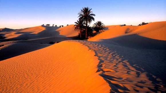Сахара може стати придатною для ведення сільського господарства, - вчені фото, ілюстрація