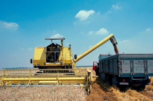 Одесчина планирует собрать лучший урожай зерновых в Украине фото, ілюстрація
