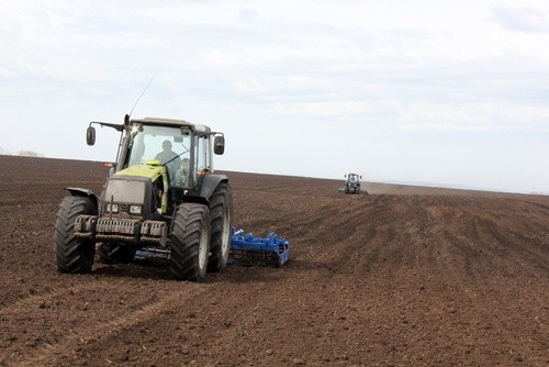 Високі ціни на зернові можуть спричинити більше скорочення посівних площ під цукровими буряками в СНД – Sucden фото, ілюстрація