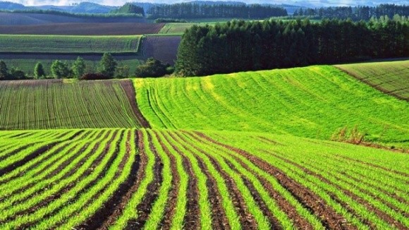 ТОП-5 областей України з найвищою зарплатою в сільському господарстві фото, ілюстрація