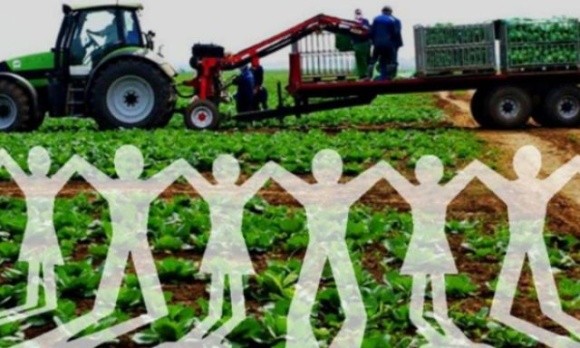 Уряд знизив податкове навантаження на сільськогосподарські кооперативи фото, ілюстрація