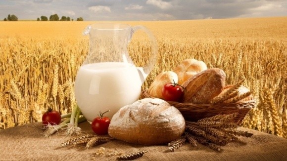 Виробництво сільгосппродукції в Україні в I півріччі впало на 18,7% фото, ілюстрація
