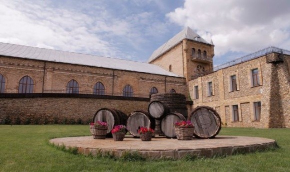 На Херсонщині окупанти пограбували одне з найстаріших виноробних господарств фото, ілюстрація
