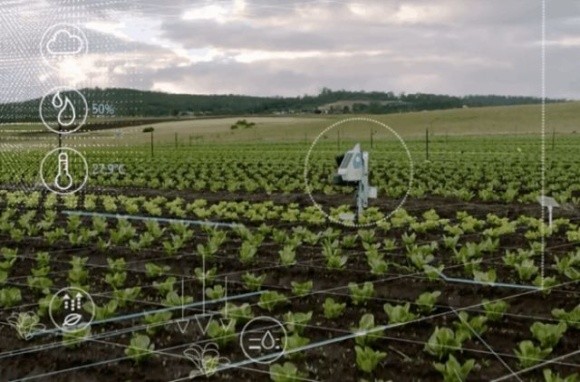 Американська компанія, використовуючи ШІ, допомагає фермерам економити сотні тисяч доларів фото, ілюстрація
