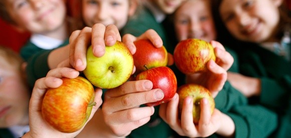 ЄС привчає школярів споживати фрукти та овочі фото, ілюстрація