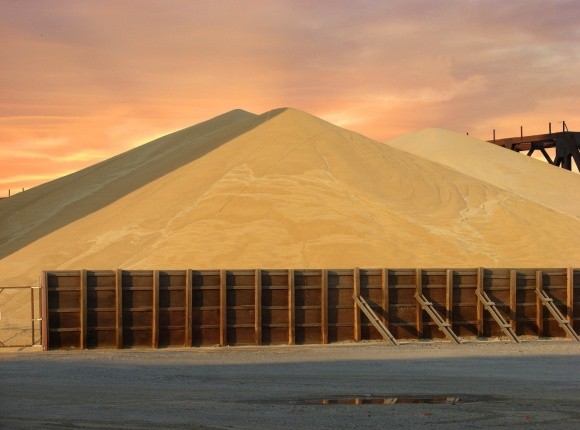 «Нібулон» закріпиться на зерновому ринку Єгипту фото, ілюстрація