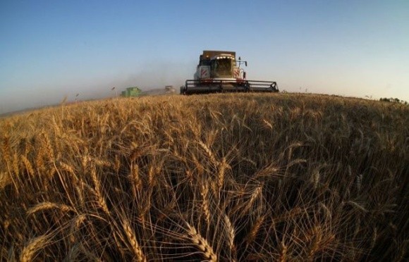 Від проєкту Grain from Ukraine найбільше виграють малі й середні сільгоспвиробники, — Дмитро Соломчук фото, ілюстрація