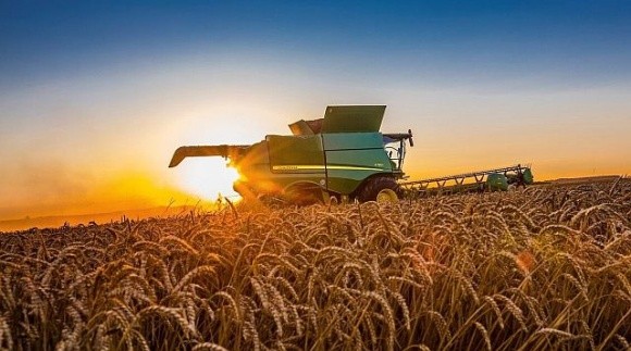 Українське сільське господарство здатне дестабілізувати продовольчу безпеку в ЄС, – заступник міністра Польщі фото, ілюстрація