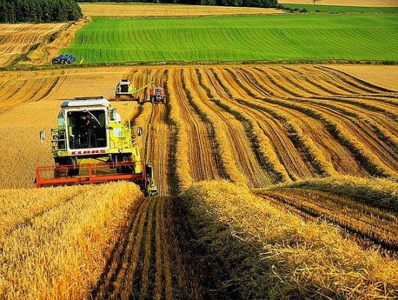 Українські міністри заперечили можливий компроміс щодо сільського господарства на переговорах з ЄС фото, ілюстрація